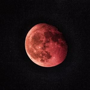 Meet your Posher, Zixuan